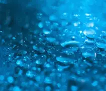 蓝白主场告捷积分榜不再垫底