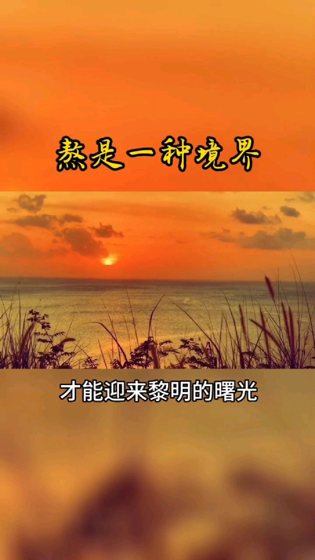 阿塞拜疆队战胜困境迎来曙光